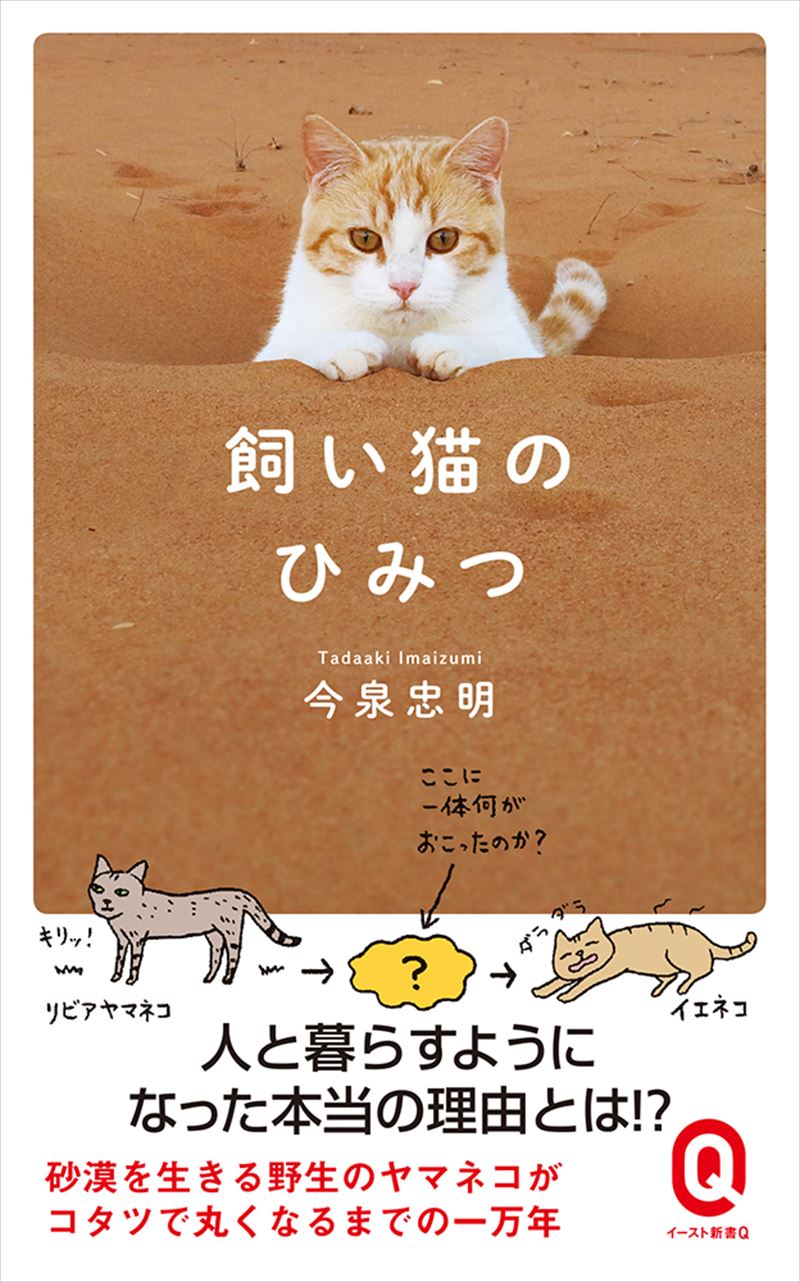 書籍詳細 飼い猫のひみつ イースト プレス 書籍詳細 飼い猫のひみつ イースト プレス