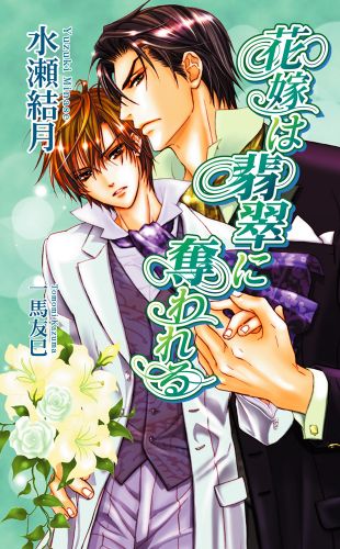 新婚（ハート）めおと茶碗物語