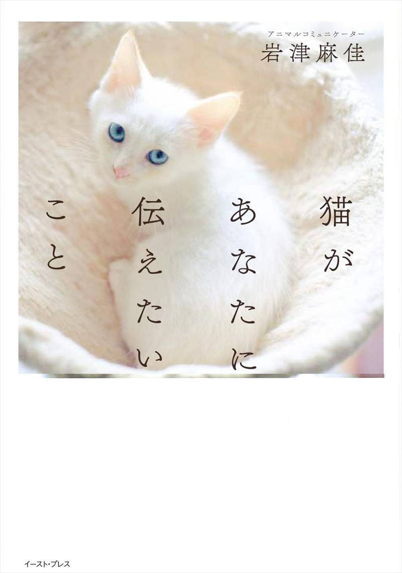 猫があなたに伝えたいこと