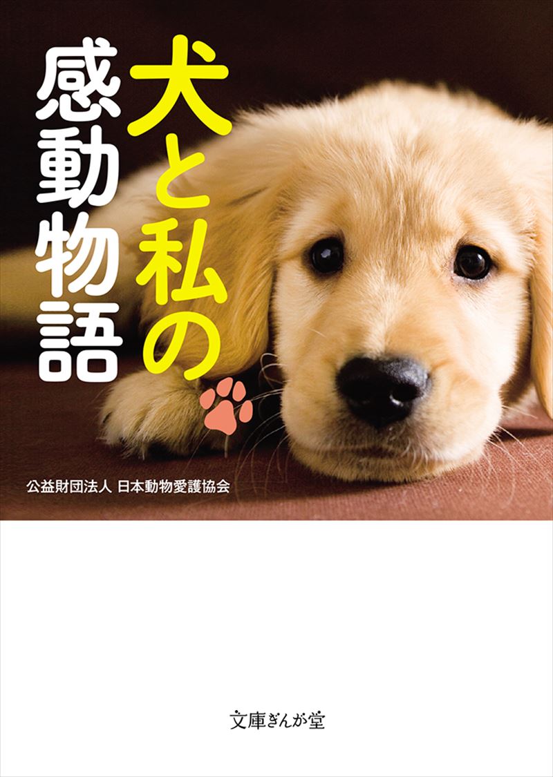 犬と私の感動物語