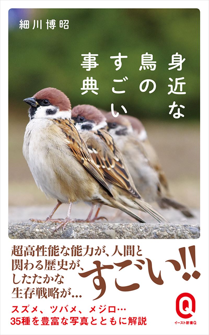 身近な鳥のすごい事典