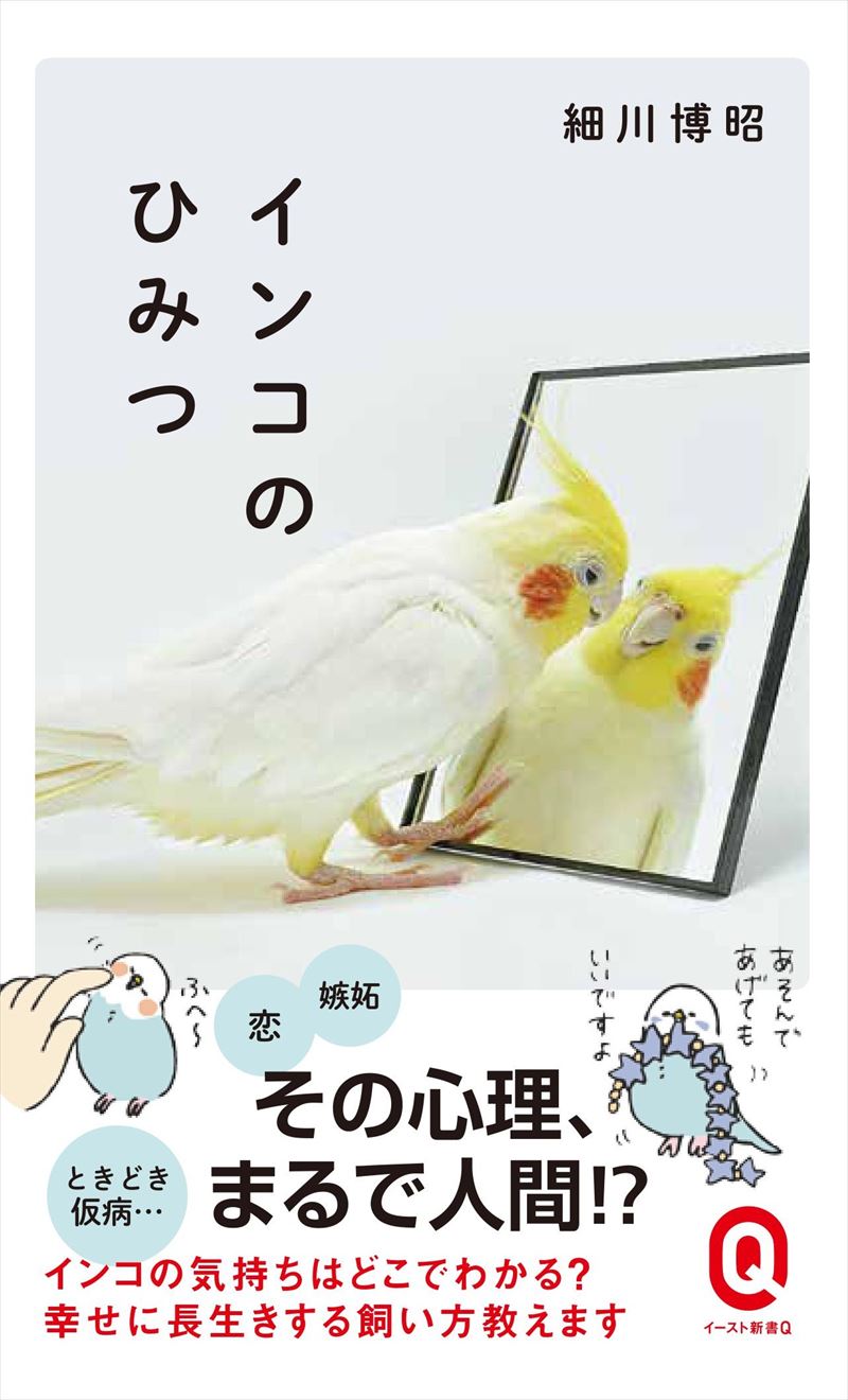 インコのひみつ